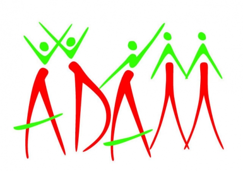 201009201351110.adam