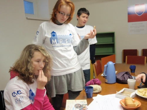 Kampaň - Fiktívne voľby 29.11.-2.12.2010