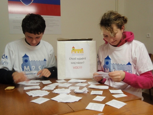 Kampaň - Fiktívne voľby 29.11.-2.12.2010