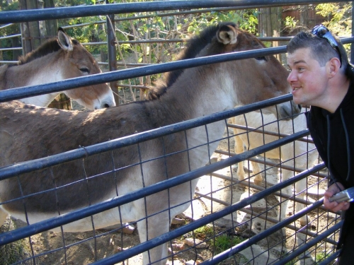 201101211320450.dscf2492