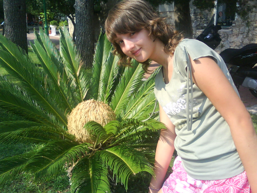201205021648360.basko_polje_37