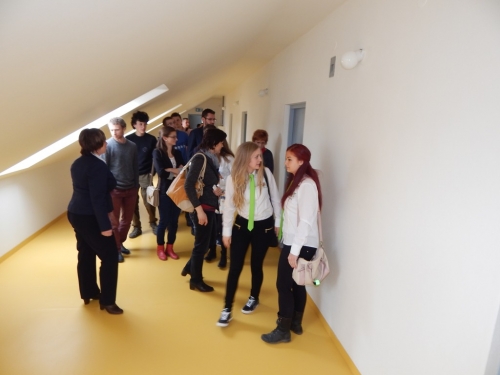 201605171121060.dscn7734