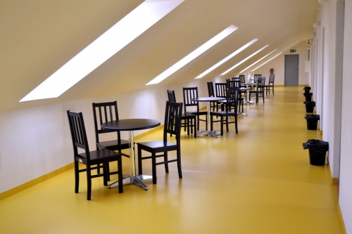 201605171159280.dsc_0452