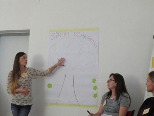 201610031609340.img_0998