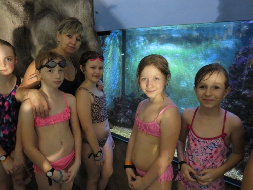 201802071505520.img-7733