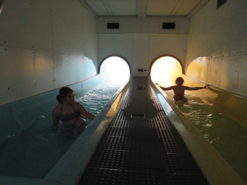 201802071505520.img-7772