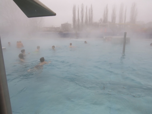 201802071505520.img-7780