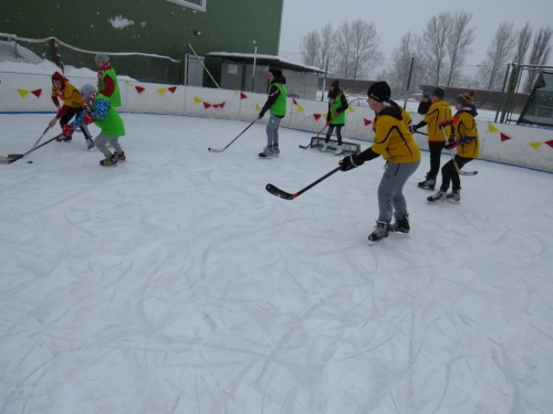 201802191524010.img-8022