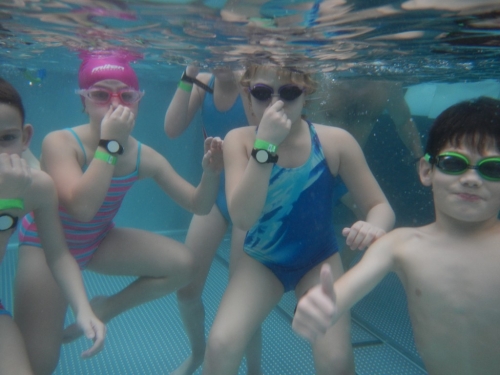 201802280910480.dscn0305