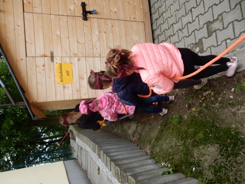 201805280823120.dscn3304