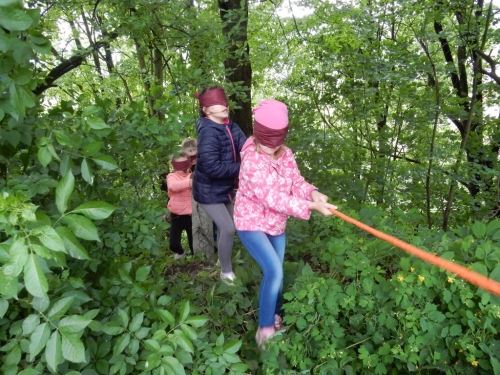 201805280823120.dscn3311