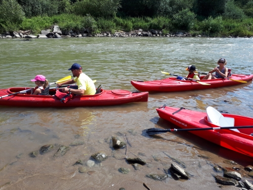 201807091330340.20180705-140231