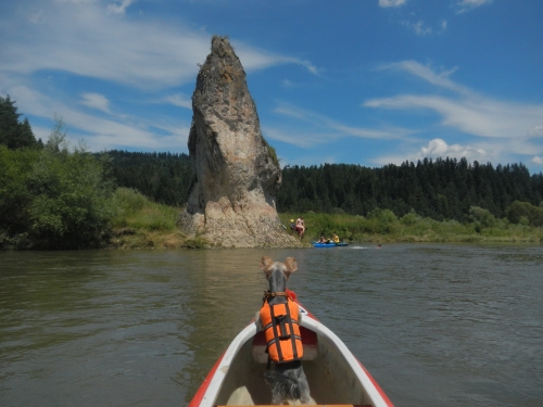 201807091330340.dscn0469