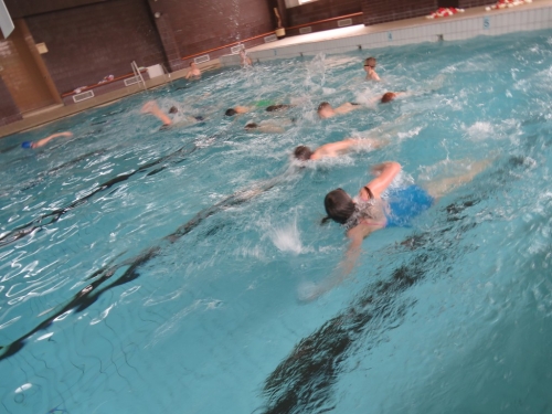 201809120927110.201707111210070-img-3528