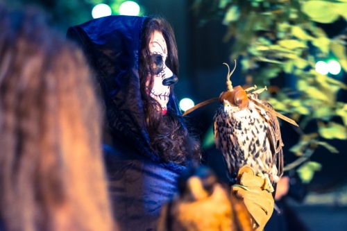 201810051445360.ado-0172