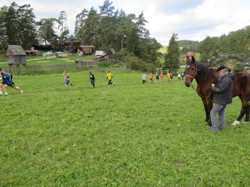 201810051621280.img-1407