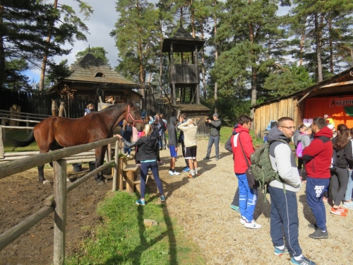 201810051621290.img-1418