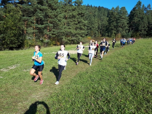 201810121003320.20181011-110759