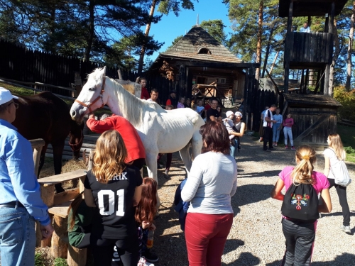 201810121003320.20181011-120021