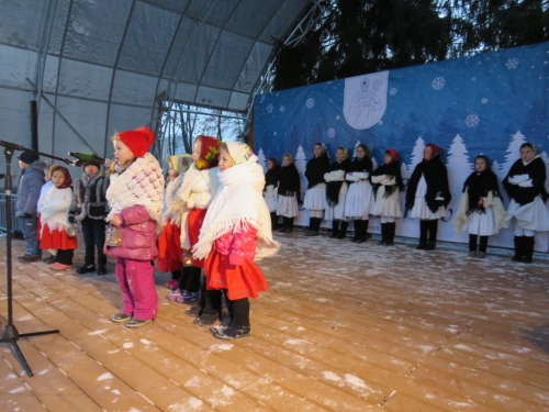 201812030921030.img-1573