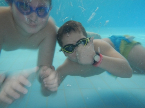 201902041017090.dscn0740