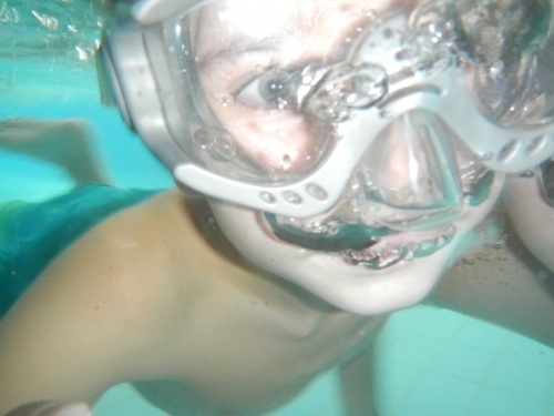 201902041017100.dscn0738