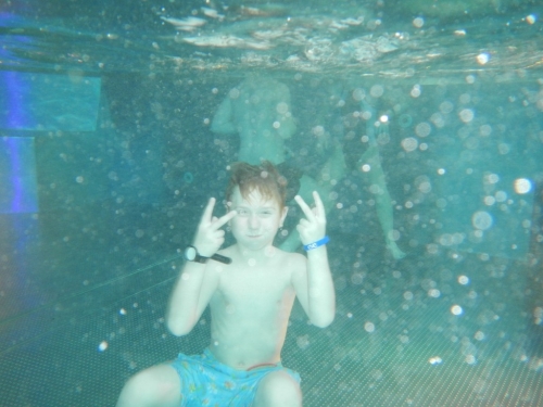 201902041017100.dscn0744