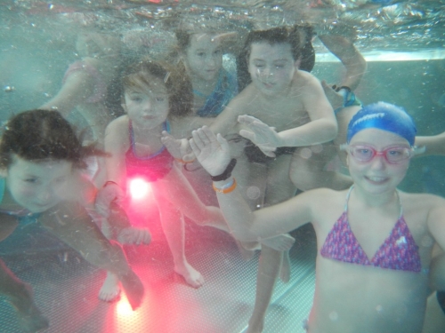 201902041017100.dscn0759