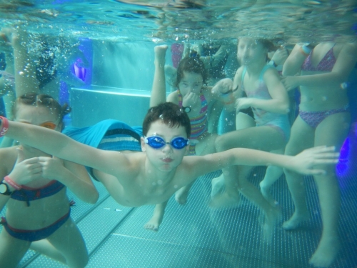 201902041017100.dscn0765