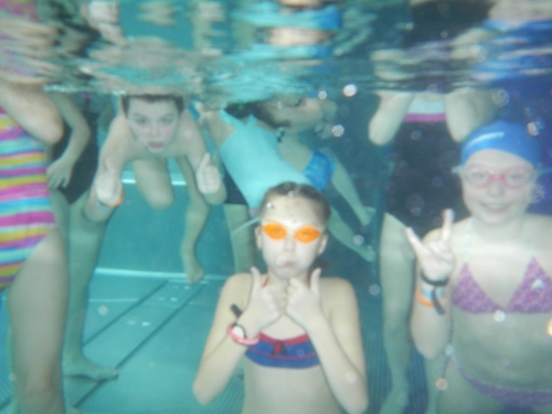 201902041017100.dscn0767