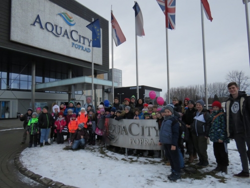 201902041017100.img-2087