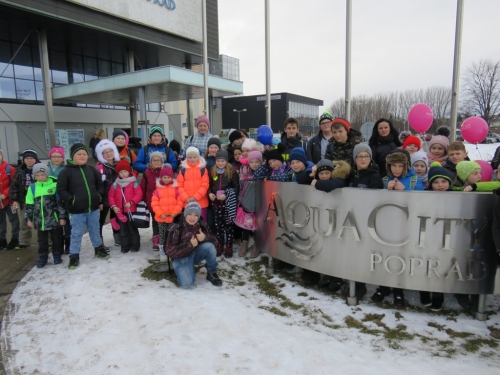 201902041017100.img-2090