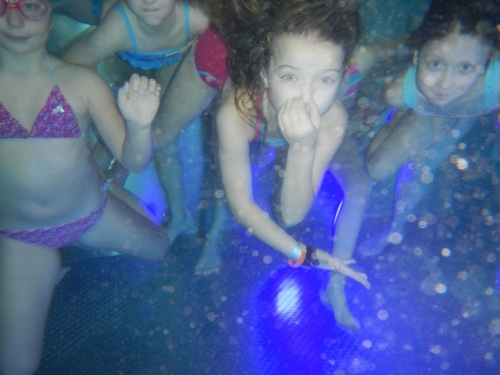 201902041017110.dscn0761