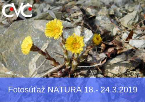 201903191352530.53643430-2232246290363174-4043659800209260544-n