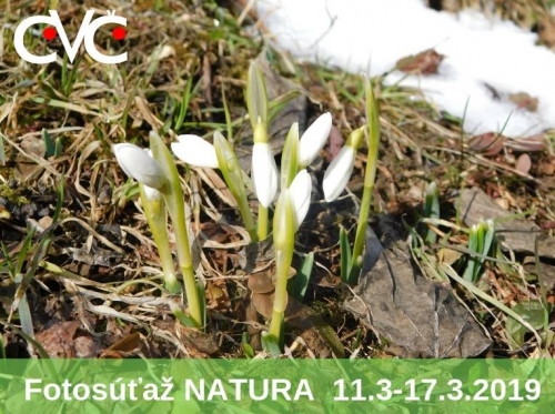 201903191353340.snezianky