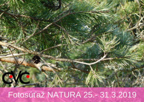 201903250857030.fotosutaz-natura-na-tyzde-18-3-2019-24-3-2019