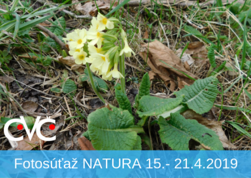 201904160815050.fotosutaz-natura-na-tyzde-15-21-4