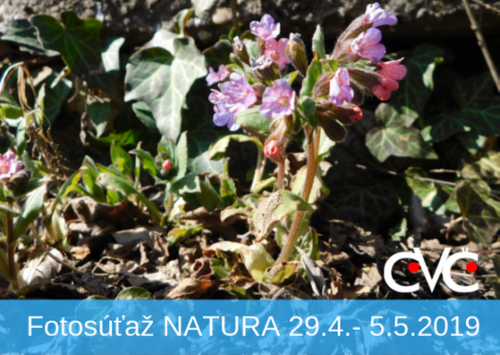 201904291316580.fotosutaz-natura-na-tyzde-29-4-2019-5-5-2019