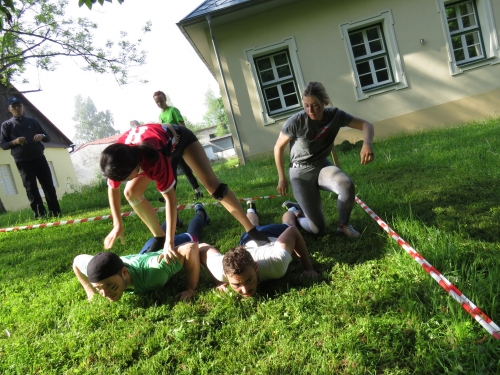 201906101457350.img-3523