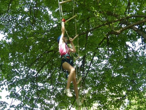 201906101457350.p1050389