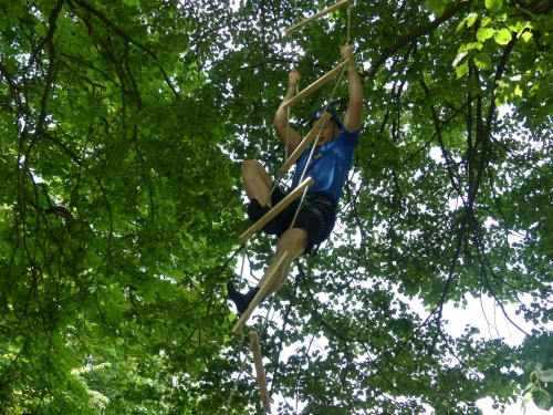 201906101457350.p1050461