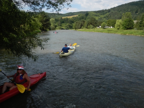 201907120930340.dscn1066