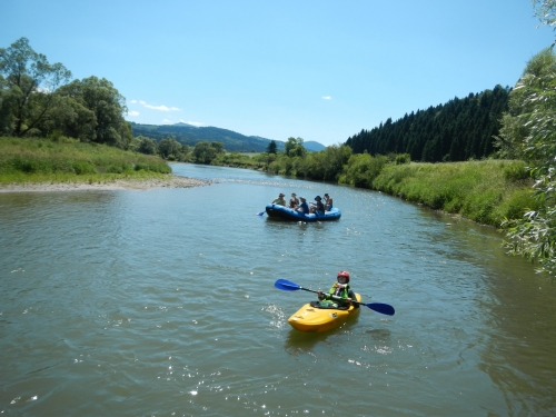 201907120930350.dscn1010