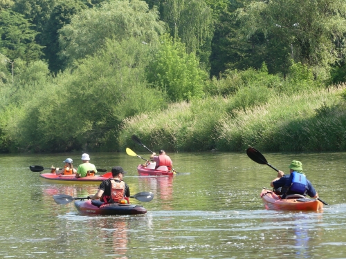 201907120930350.p1060565