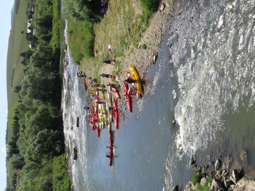 201907120935300.img-3796