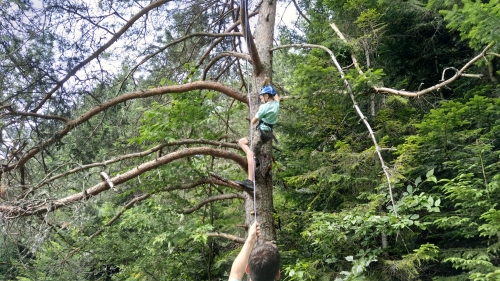 201907120943450.img-20190702-105504