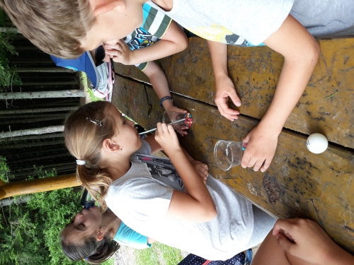 201907120943460.20190702-104507