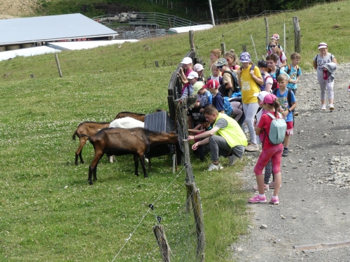 201907240856440.p1070350