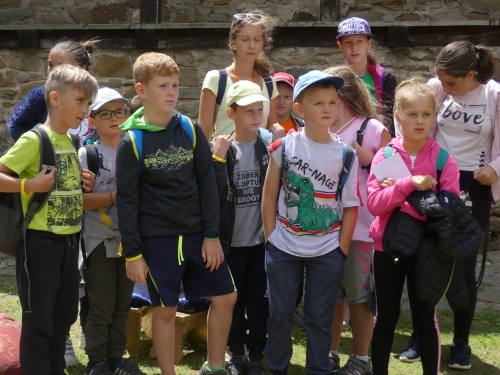 201907240856440.p1070493