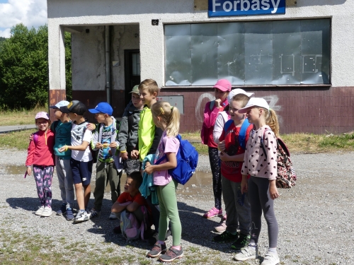 201907240856450.p1060895